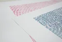 Blau i rosa.webp